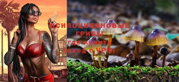 кокс Армянск