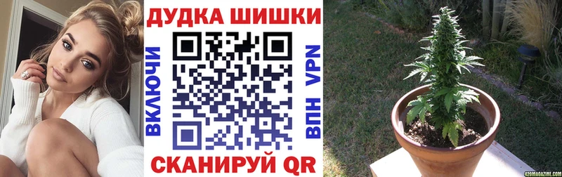 Бошки Шишки сатива  Купить закладки  Кедровый 